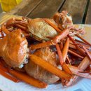 고성 탑 글램핑 농원 | 강원도 고성 캠핑 탑글램핑