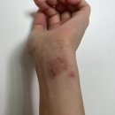 지움의원 이미지