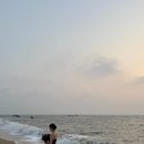 이연 | [W15_야외스냅📸] 서울|경기 야외 웨딩스냅 촬영 후기 “이연픽션”