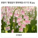 야미야미 이미지