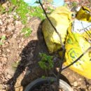 영온농장 이미지