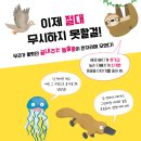 [북멘토 신간] 일러스트가 매력적인 동물책 ＜세상에서 가장 끝내주는 심쿵 동물사전＞ 이미지