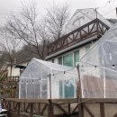 마리애 | 가평 핀란드식사우나 꽃마리애펜션 애견 동반도 가능!