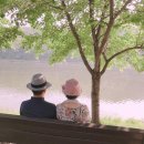 꽃;향기로 Daum카페