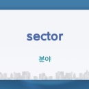 1분 영어 뉴스룸 - 인사이트 뉴스 이미지