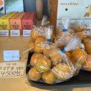 덕기목장 이미지