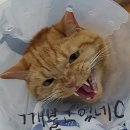 다루동물병원 이미지