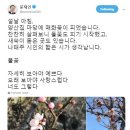 자세히 보아야 예쁘다 이미지