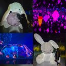 하늘토끼 | 4월 제주도 가볼만한곳 아르떼뮤지엄 제주 달토끼 특별전 후기