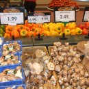 지방농장 이미지