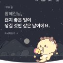 12월은 내년 프리뷰 ✨