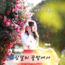 삼달리-9 | [제주여행 #7] 겨울 여행 코스 추천, 동백꽃과 귤이 반겨주는 '삼달리 꽃밭' 인생샷 명소