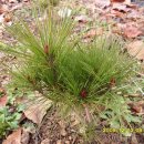 반송농장 이미지