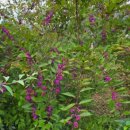 명자농장 이미지