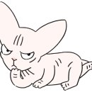 순복이네 이미지