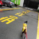 개포4-106 이미지