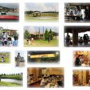 청개구리 당구장 이미지