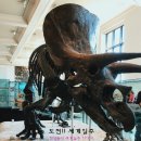 미국일주 자유여행 후기 - 뉴욕 미국 자연사 박물관(American Museum of Natural History) -2 이미지