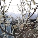 한그루공인중개사사무소 이미지