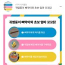 트니트니(10~15개월) 이미지