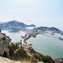 오월N장미 이미지