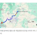 고양이가 1448km 혼자 집에 돌아옴 이미지