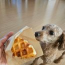 크로플앙 이미지