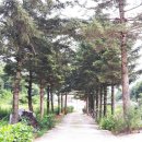 성재(惺齋) 이미지