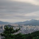포털행정사사무소 이미지