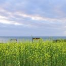 방어진방파제화장실 이미지