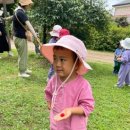 나무와열매어린이집 | 우리들 자연학교 6월 26일 나무와 새 어린이집 수업 후기