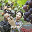 김재훈농장 이미지