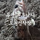 도원선착장 이미지