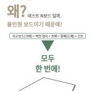 하이테디 이미지