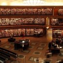 운정중학교 이미지