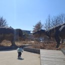 정관8어린이집 | 공동육아 어린이집 - 똥인지 된장인지 먹어봐야지