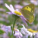 함평이야기 이미지