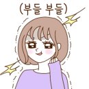 웰빙플러스 이미지