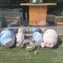 최원석의돼지한판&서해쭈꾸미건대1호점 이미지