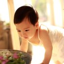 순수베이비 Daum카페