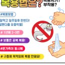 구충제 복용시기 복용법 및 회충약 이미지