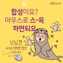 에디노트 이미지