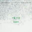 스칼프디자인센터마곡 이미지