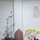 천부농장 이미지