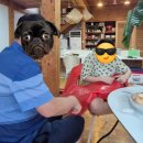 무무별장 이미지