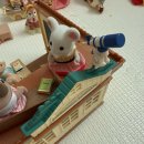 실바니안 컨트리 트리 스쿨 내돈내산 후기｜구성·아이 반응·어린이날 선물 추천
