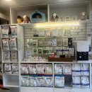 소망동물병원 | 자양동동물병원 준동물병원 15살 소망이 건강검진 후기