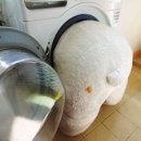 곰세탁 이미지