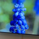 연경축사 | 10