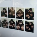 닛튼